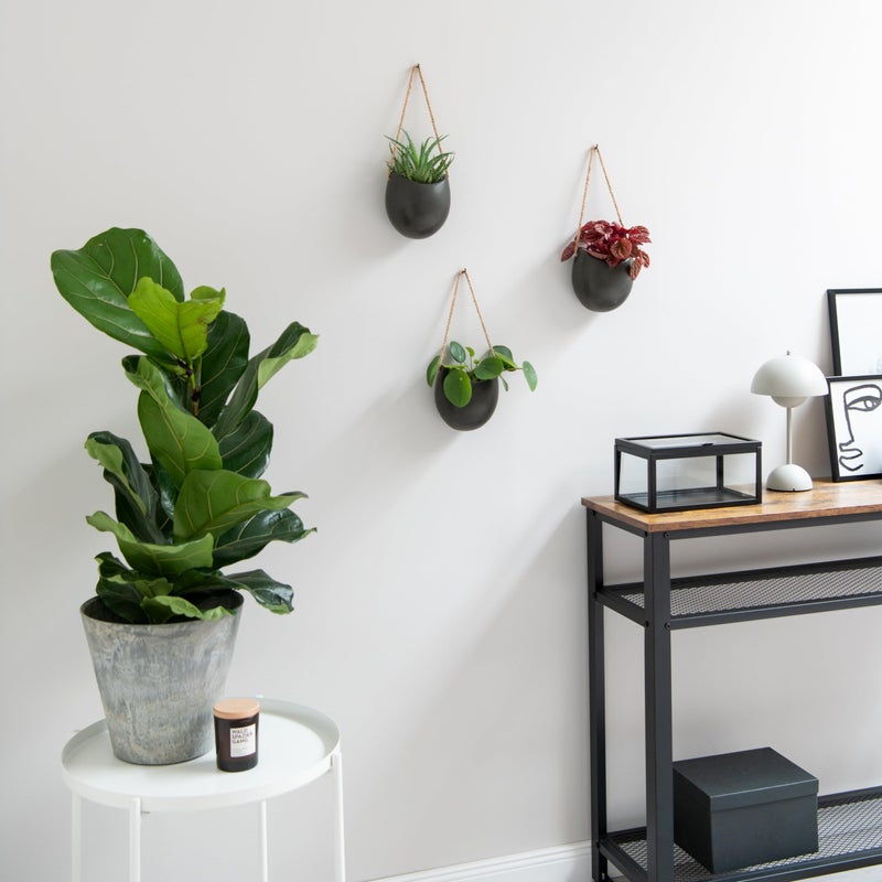 Kazai. Wall Planters -Ellie- | Hanging Ceramic Plant Pots 3 Pieces | Wall Decoration for Indoors  Balcony and Garden | Graphite (Matte) - Image 4